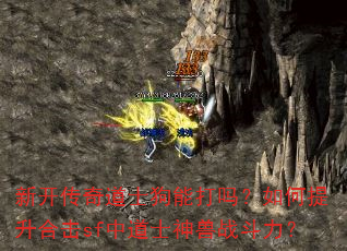 新开传奇道士狗能打吗?如何提升合击sf中道士神兽战斗力? 新开传奇道士狗能打吗?如何提升合击sf中道士神兽战斗力?