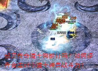 新开传奇道士狗能打吗?如何提升合击sf中道士神兽战斗力? 新开传奇道士狗能打吗?如何提升合击sf中道士神兽战斗力?