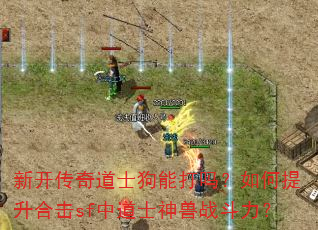 新开传奇道士狗能打吗?如何提升合击sf中道士神兽战斗力? 新开传奇道士狗能打吗?如何提升合击sf中道士神兽战斗力?