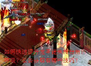 如何快速提升龙圣迷失传奇角色等级?装备获取有哪些技巧? 如何快速提升龙圣迷失传奇角色等级?装备获取有哪些技巧?