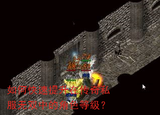 如何快速提升在传奇私服无双中的角色等级? 如何快速提升在传奇私服无双中的角色等级?
