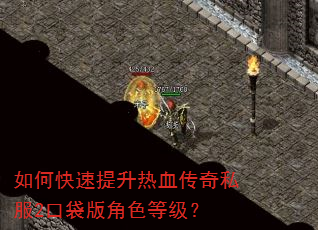 如何快速提升热血传奇私服2口袋版角色等级? 如何快速提升热血传奇私服2口袋版角色等级?