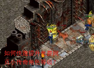 如何快速提升免费网页小传奇角色等级? 如何快速提升免费网页小传奇角色等级?