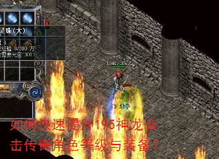 如何快速提升195神龙合击传奇角色等级与装备? 如何快速提升195神龙合击传奇角色等级与装备?