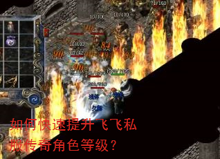 如何快速提升飞飞私服传奇角色等级? 如何快速提升飞飞私服传奇角色等级?