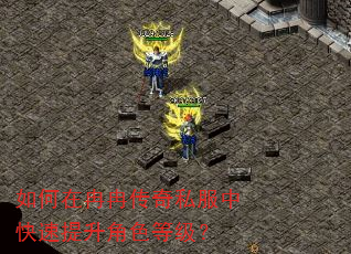 如何在冉冉传奇私服中快速提升角色等级? 如何在冉冉传奇私服中快速提升角色等级?
