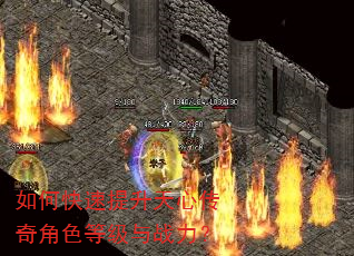 如何快速提升天心传奇角色等级与战力? 如何快速提升天心传奇角色等级与战力?