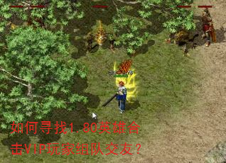 如何寻找1.80英雄合击VIP玩家组队交友? 如何寻找1.80英雄合击VIP玩家组队交友?