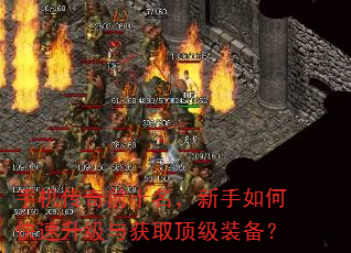 手机传奇前十名,新手如何快速升级与获取顶级装备? 手机传奇前十名,新手如何快速升级与获取顶级装备?