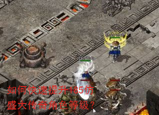 如何快速提升185仿盛大传奇角色等级? 如何快速提升185仿盛大传奇角色等级?
