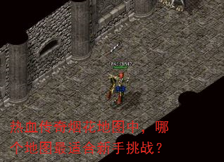 热血传奇烟花地图中,哪个地图最适合新手挑战? 热血传奇烟花地图中,哪个地图最适合新手挑战?