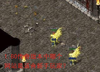 1.80����汾���ĸ���վ���ʺ�������ң�