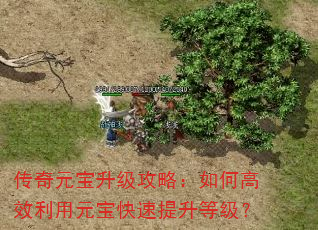 传奇元宝升级攻略:如何高效利用元宝快速提升等级? 传奇元宝升级攻略:如何高效利用元宝快速提升等级?