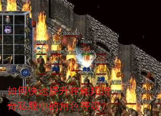 如何快速提升在翱翔传奇私服中的角色等级? 如何快速提升在翱翔传奇私服中的角色等级?