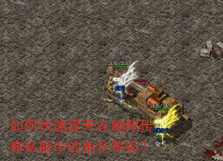如何快速提升在翱翔传奇私服中的角色等级? 如何快速提升在翱翔传奇私服中的角色等级?