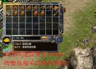 如何快速提升在sf666传奇私服中的角色等级? 如何快速提升在sf666传奇私服中的角色等级?