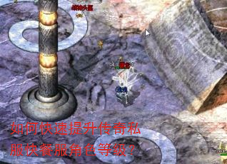 如何快速提升传奇私服快餐服角色等级? 如何快速提升传奇私服快餐服角色等级?