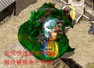 如何快速提升传奇私服快餐服角色等级? 如何快速提升传奇私服快餐服角色等级?