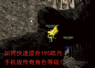 如何快速提升195皓月手机版传奇角色等级? 如何快速提升195皓月手机版传奇角色等级?