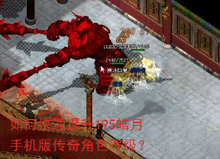 如何快速提升195皓月手机版传奇角色等级? 如何快速提升195皓月手机版传奇角色等级?