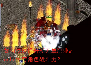 ��ο��������¿���ְҵwushe�����ɫս������