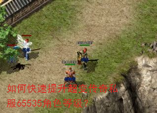 如何快速提升超变传奇私服65535角色等级? 如何快速提升超变传奇私服65535角色等级?