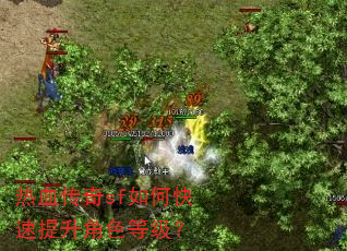 热血传奇sf如何快速提升角色等级? 热血传奇sf如何快速提升角色等级?