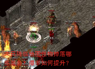 末日降临地图怪物掉落哪些装备?爆率如何提升? 末日降临地图怪物掉落哪些装备?爆率如何提升?