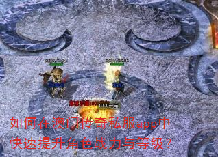 ����ڰ��Ŵ���˽��app�п���������ɫս����ȼ���