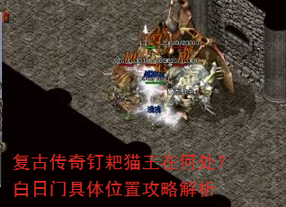 ���Ŵ��涤��è���ںδ��������ž���λ�ù��Խ���