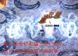 ���Ŵ��涤��è���ںδ��������ž���λ�ù��Խ���