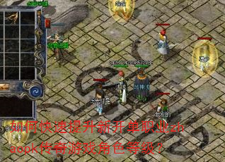 如何快速提升新开单职业zhaopk传奇游戏角色等级? 如何快速提升新开单职业zhaopk传奇游戏角色等级?