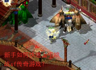 新手如何快速上手挑战sf传奇游戏? 新手如何快速上手挑战sf传奇游戏?