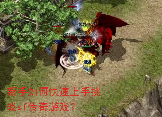 新手如何快速上手挑战sf传奇游戏? 新手如何快速上手挑战sf传奇游戏?