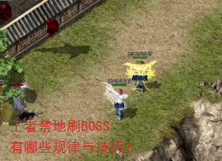 王者禁地刷BOSS有哪些规律与技巧? 王者禁地刷BOSS有哪些规律与技巧?