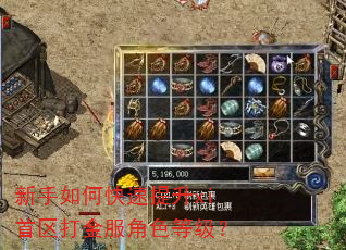 新手如何快速提升xi首区打金服角色等级? 新手如何快速提升xi首区打金服角色等级?