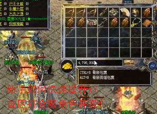 新手如何快速提升xi首区打金服角色等级? 新手如何快速提升xi首区打金服角色等级?