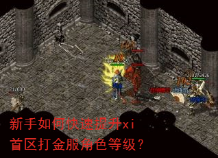 新手如何快速提升xi首区打金服角色等级? 新手如何快速提升xi首区打金服角色等级?