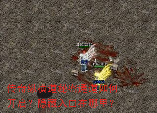 传奇纵横道秘密通道如何开启?隐藏入口在哪里? 传奇纵横道秘密通道如何开启?隐藏入口在哪里?