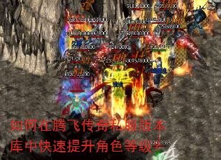������ڷɴ���˽���汾���п���������ɫ�ȼ���