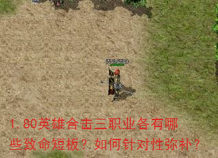 1.80英雄合击三职业各有哪些致命短板?如何针对性弥补? 1.80英雄合击三职业各有哪些致命短板?如何针对性弥补?