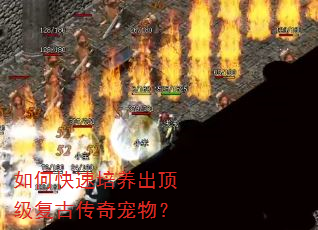 如何快速培养出顶级复古传奇宠物? 如何快速培养出顶级复古传奇宠物?
