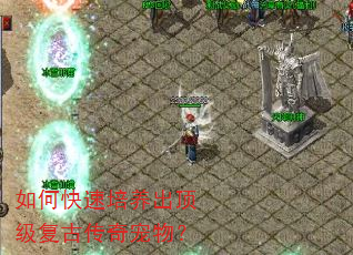 如何快速培养出顶级复古传奇宠物? 如何快速培养出顶级复古传奇宠物?