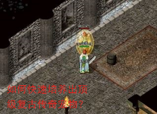 如何快速培养出顶级复古传奇宠物? 如何快速培养出顶级复古传奇宠物?