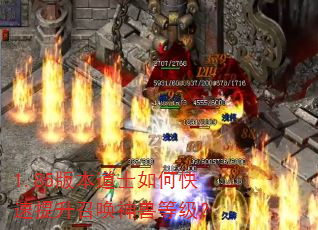 1.85�汾��ʿ��ο��������ٻ����޵ȼ���