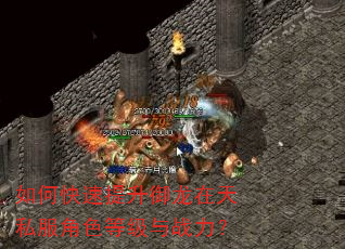 如何快速提升御龙在天私服角色等级与战力? 如何快速提升御龙在天私服角色等级与战力?