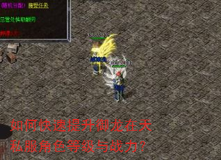 如何快速提升御龙在天私服角色等级与战力? 如何快速提升御龙在天私服角色等级与战力?
