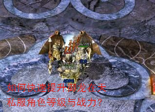 如何快速提升御龙在天私服角色等级与战力? 如何快速提升御龙在天私服角色等级与战力?