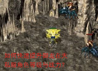 如何快速提升御龙在天私服角色等级与战力? 如何快速提升御龙在天私服角色等级与战力?