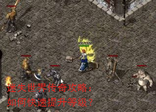 ��ʧ���紫�湥�ԣ���ο��������ȼ���
